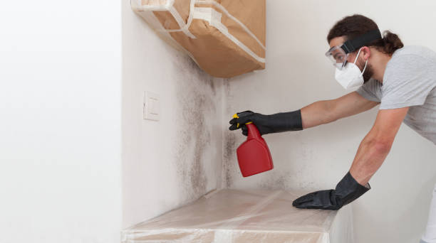 Professional Basement Mold Remediation technician working in Lawnside, NJ
